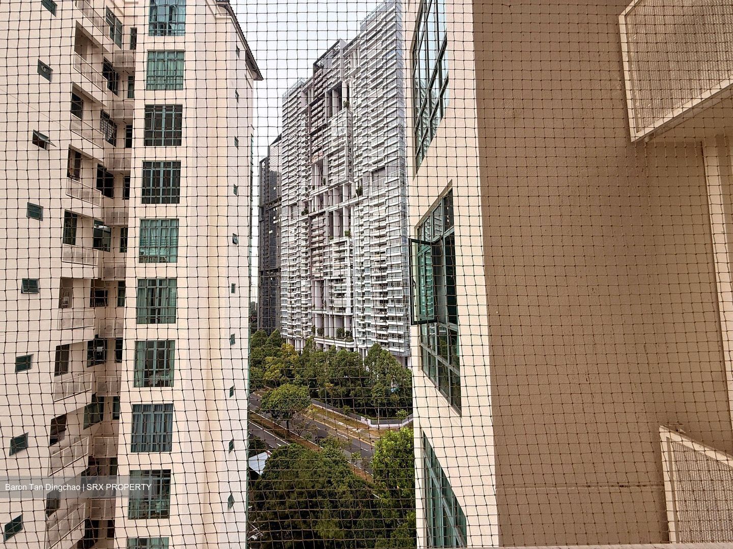 Tanglin Regency (D10), Condominium #616896651